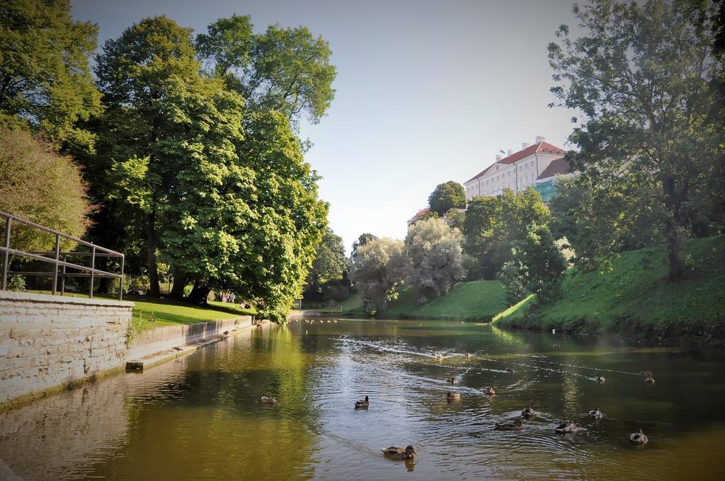 Calandra Apartment Tallin Pokój zdjęcie